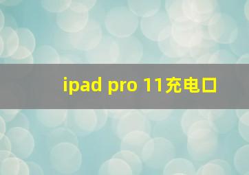 ipad pro 11充电口